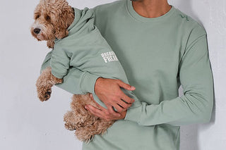 Qsimple 100% Organic Cotton Dog Hoodie and Sweatshirt Combination