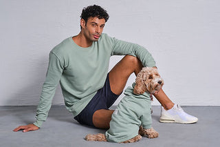 Qsimple 100% Organic Cotton Dog Hoodie and Sweatshirt Combination